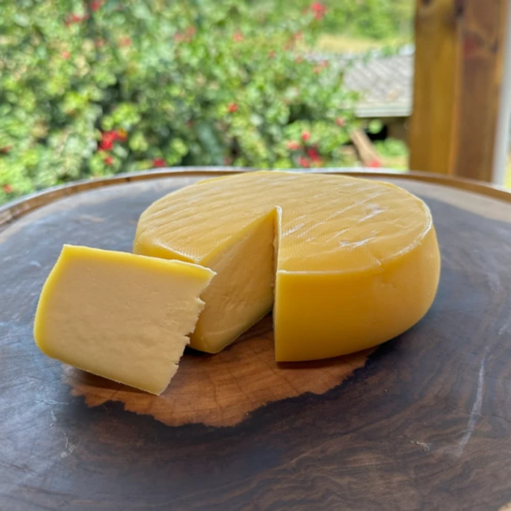 Foto original do queijo colonial